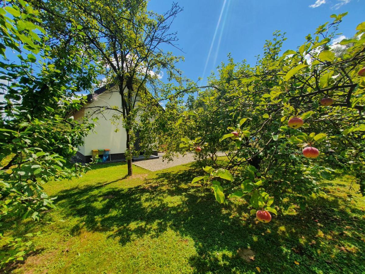 DębicaTetmajera View & Garden别墅 外观 照片